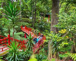 Naši cestovatelé v tropické zahradě