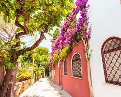 Romantické uličky ostrova Capri
