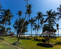 Odpočinek pod palmami na úchvatném pobřeží Mombasy