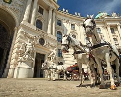 Bílí koně k Vídni neodmyslitelně patří