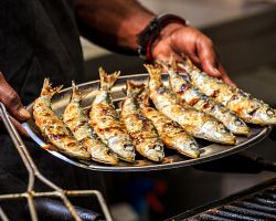 Grilované sardinky – typický portugalský oběd. Ochutnejte!