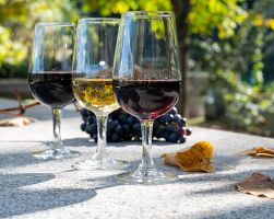 Návštěva vinice a koštování vína. Zážitek, který k Portugalsku patří…