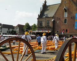 Tradiční sýrová podívaná na náměstí v Alkmaaru