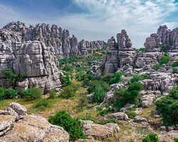 El Torcal s vertikálními vápencovými skalními stěnami a středomořskou vegetací
