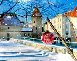 Vánoce v historickém centru Tallinnu
