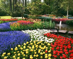 Rozkvetlé květiny všech barev a druhů tvoří nádhernou paletu jarních krás