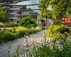 Dopřejte si procházka po promenádě unikátního parku High Line…