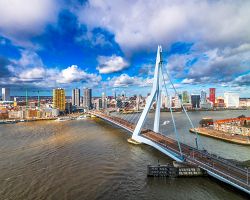 Pohled na jednu z dominant Rotterdamu - Erasmův most