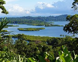 Fascinují tropická krajina mangrovového ostrova na Bocas del Toro