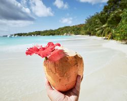 Užijte si plážovou idylku a odpočiňte si od rutiny na Seychellách…