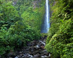 Vodopád v Národním parku Guadeloupe poblíž jezera Grand Etang u sopky La Soufrière