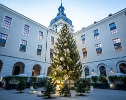 Kouzelná vánoční výzdoba v Lyonu