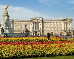 Buckinghamský palác v Londýně v plné jarní kráse