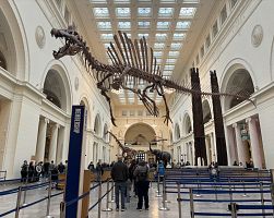 Přírodovědné muzeum v Chicagu rozhodně stojí za návštěvu…