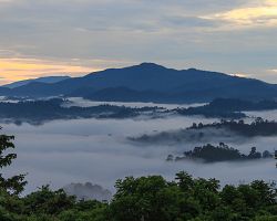 Tajuplný tropický prales oblasti Danum Valley