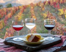 Ochutnejte nejlepší vína v Portugalsku…