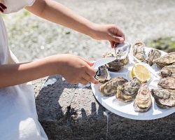 Ústřice z Cancale patří k nejkvalitnějším v celé Francii…
