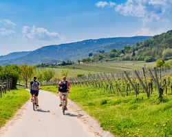 Jedinečný cyklovýlet kolem vinic a klášterů v Meteoře