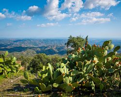 Výhledy na zelené hřbety portugalského pohoří Monchique v Algarve