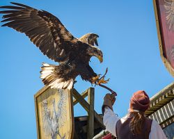 Přehlídka dravců v historickém zábavním parku Puy de Fou ve Francii
