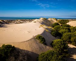 Obří pohyblivé písečné duny národního parku Doñana ve španělské Andalusii