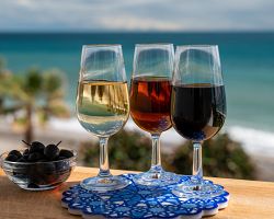 Ochutnávka tradičního andaluského sherry vína nesmí chybět!