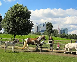 Mudchute Park and Farm