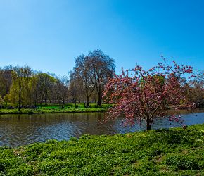 To nejlepší z Londýna + UNIVERZITNÍ OXFORD + TAJEMNÉ MEGALITY VE STONEHENGE