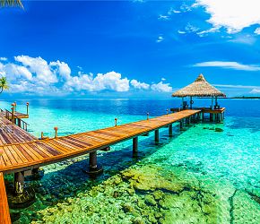Relax na plážích Malediv + VEČERNÍ POZOROVÁNÍ REJNOKŮ