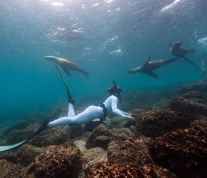 To nejlepší z Ekvádoru + GALAPÁGY + VÝSTUP NA SOPKU COTOPAXI