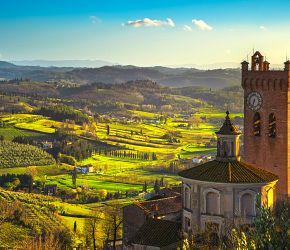 Kouzlo hledání lanýžů a toskánská vína + ŠIKMÁ VĚŽ V PISE + FLORENCIE