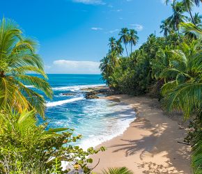 To nejlepší z Kostariky + NÁRODNÍ PARKY + KOUPÁNÍ V KARIBIKU