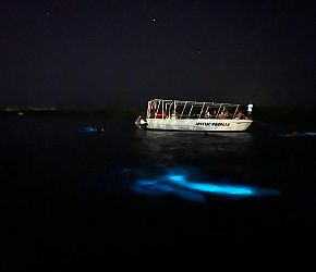 To nejlepší z Jamajky + KRMENÍ KOLIBŘÍKŮ + PLAVÁNÍ VE SVÍTÍCÍ LAGUNĚ