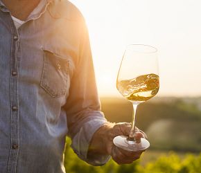 Andalusie s koncertem Davida Kollera + PLAVBA KATAMARÁNEM + OCHUTNÁVKA VÍN