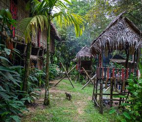 To nejlepší z Bornea + PŘÍRODNÍ REZERVACE ORANGUTANŮ + OSTROV MANTANANI