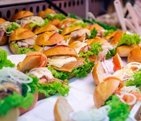 Holandské pobřeží na kole + AMSTERDAM + RODINNÁ KVĚTINOVÁ FARMA