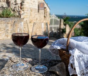 To nejkrásnější z Provence + MELOUNOVÝ FESTIVAL + CHÂTEAUNEUF-DU-PAPE