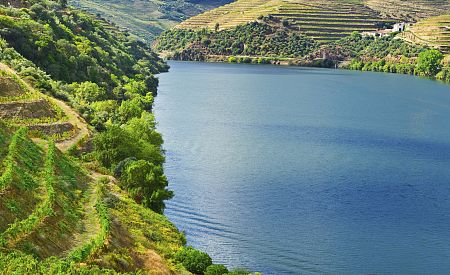 Cesta vína na řece Douro