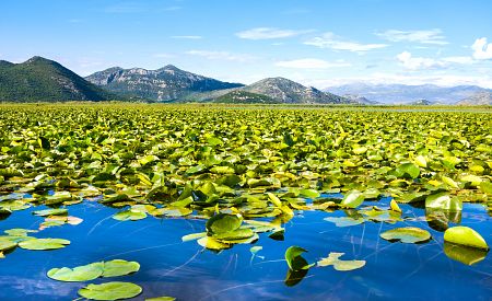 Skadarské jezero - největší jezero Balkánu
