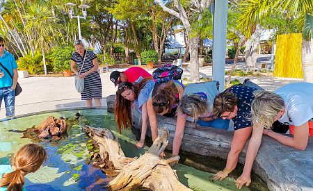Naši cestovatelé zkoumají malé rybičky v Seaquariu v Miami