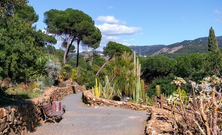 Středomořské rostlinstvo v Jardin de la Concepcion