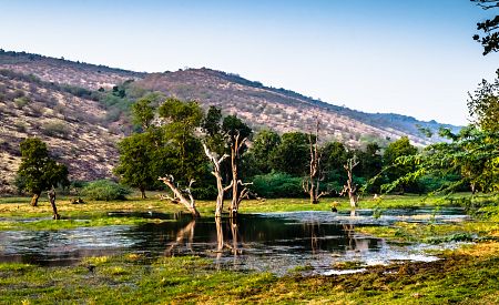 Nádherná příroda národního parku Ranthambore