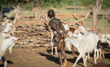 Domorodý chlapec a domácí zvířectvo – pohled do tradičního života kmene Himba…