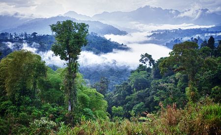 Mraky prohánějící se nad ekvádorským pralesem