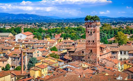 Věž Guinigi s korunou stromu ve městě Lucca