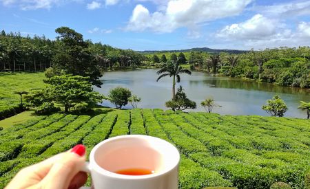 Vychutnejte si šálek čaje přímo na plantáži
