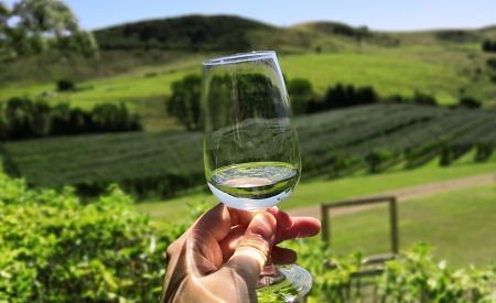 Ochutnávka vína na ostrově Waiheke