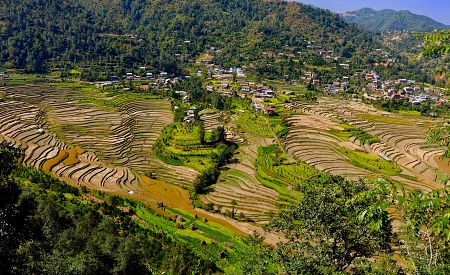 Nádherná krajina rýžových políček u vesnice Balthali