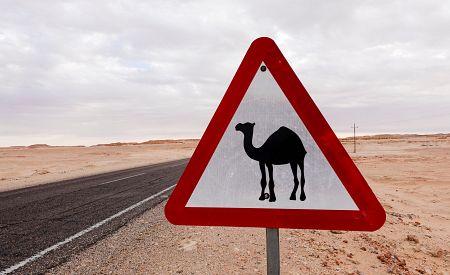 Přejezd Západní pouští – nevšední zážitek, ale pozor na velbloudy!
