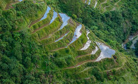 Dechberoucí rýžové terasy v oblasti Hungduan u Batadu